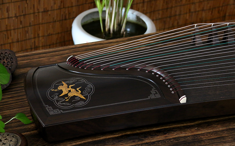 中欧官网成功案例一